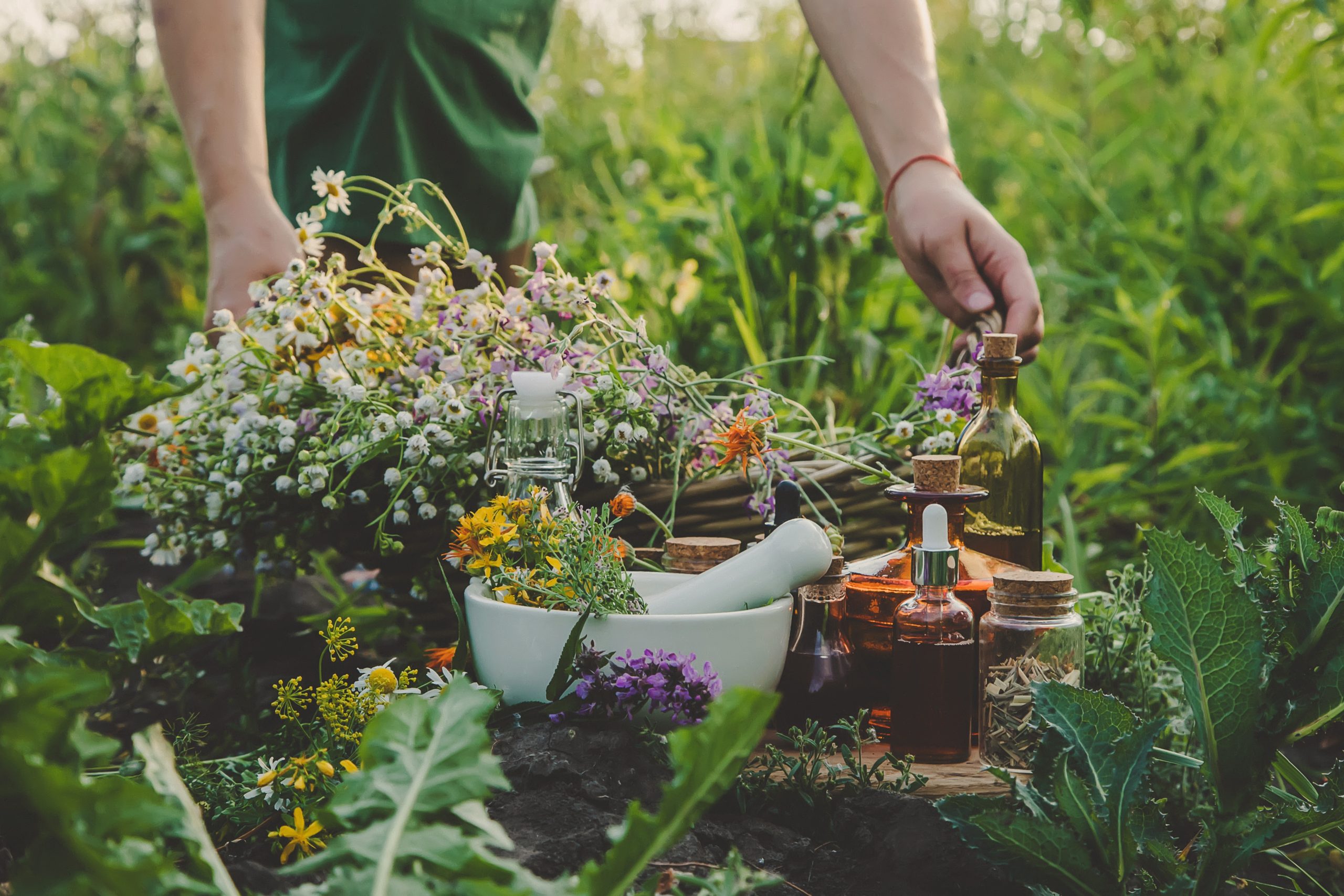 Jouer, apprendre, protéger la nature